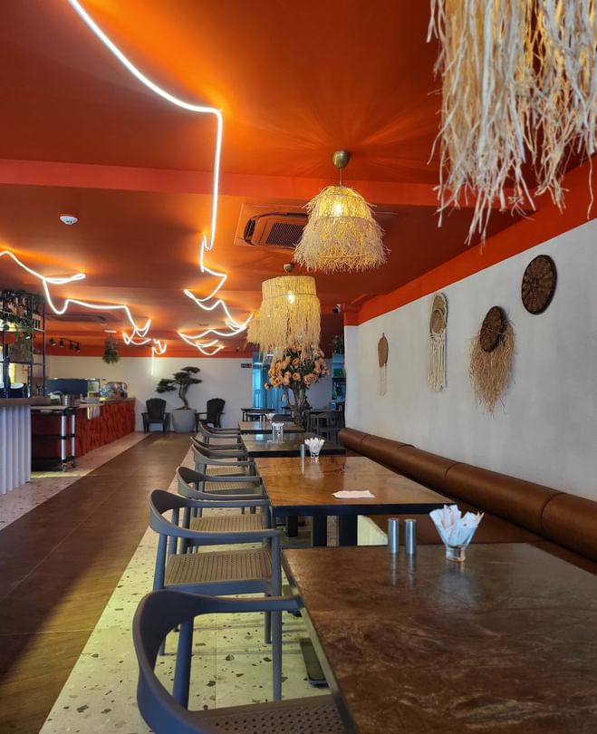 rooibos indoor